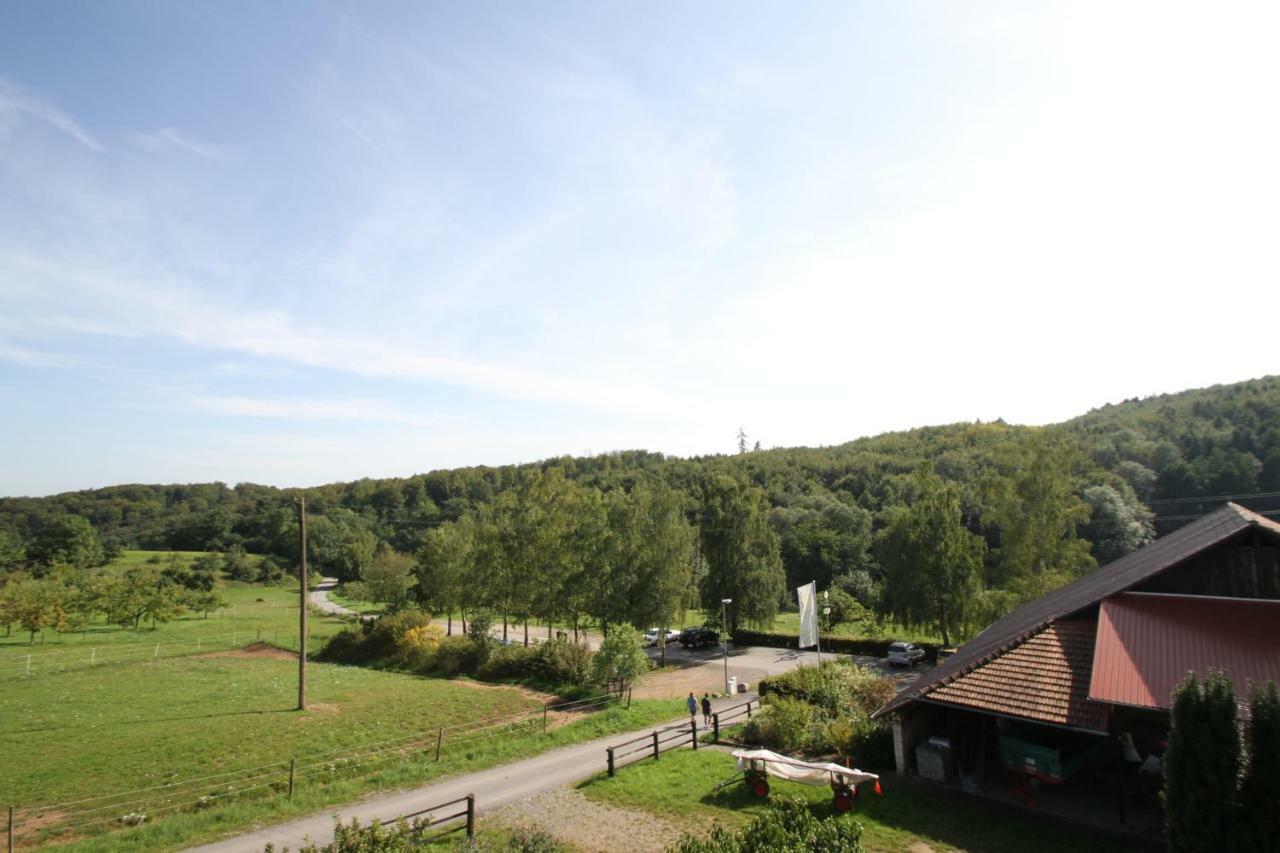 Ferienwohnung Edelbrenner Rimbach  Exterior photo